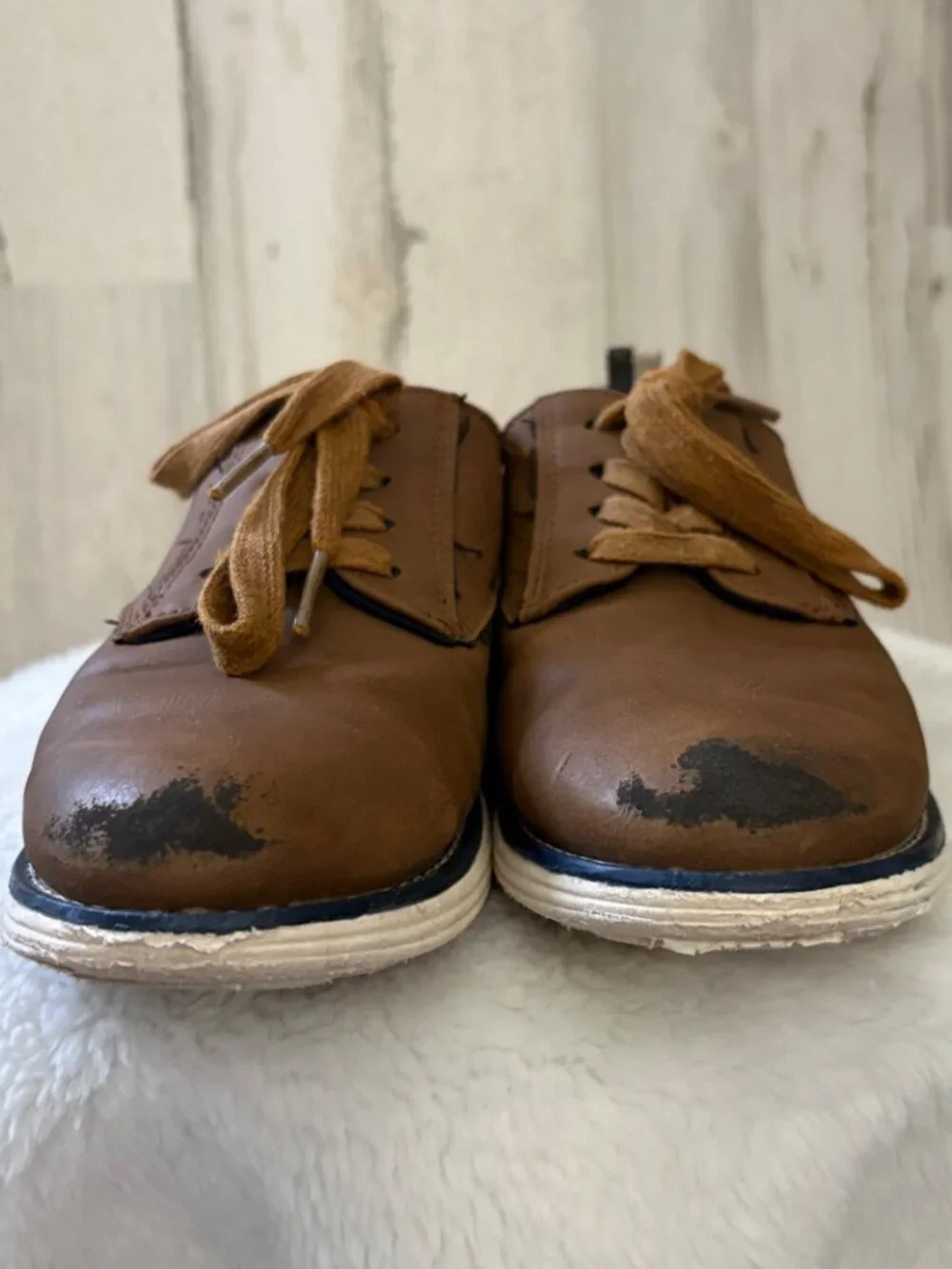 Cat & Jack Little Boys Size 2 Lace Up Brown Casual Shoes Rubber Soles